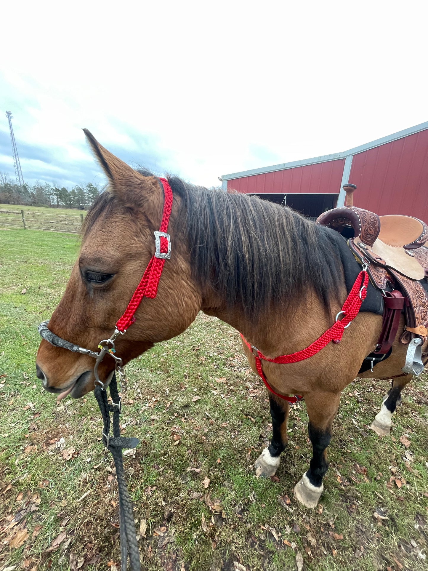 Custom Breast Collar