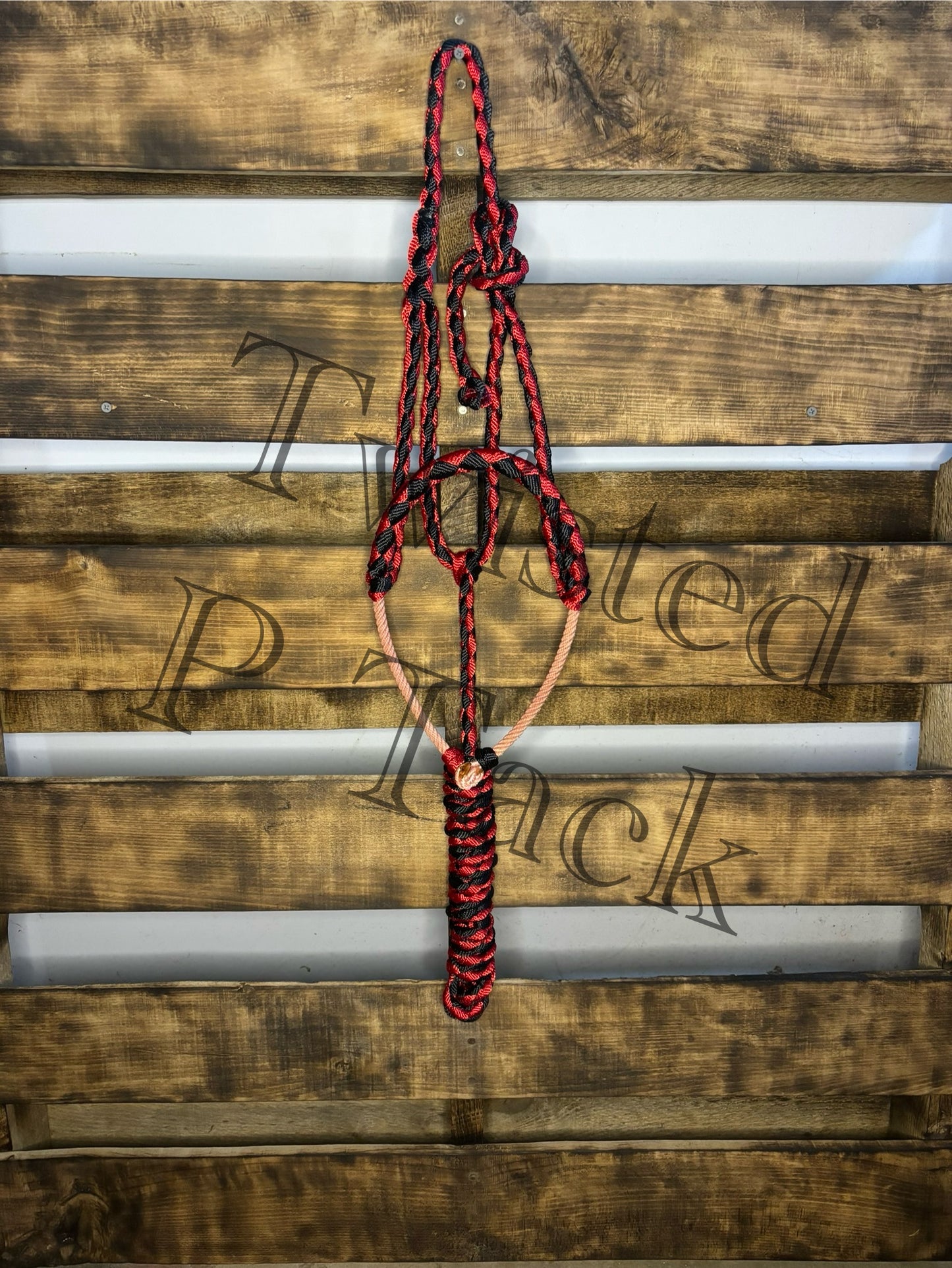 Red & Black Lariat Noseband Halter