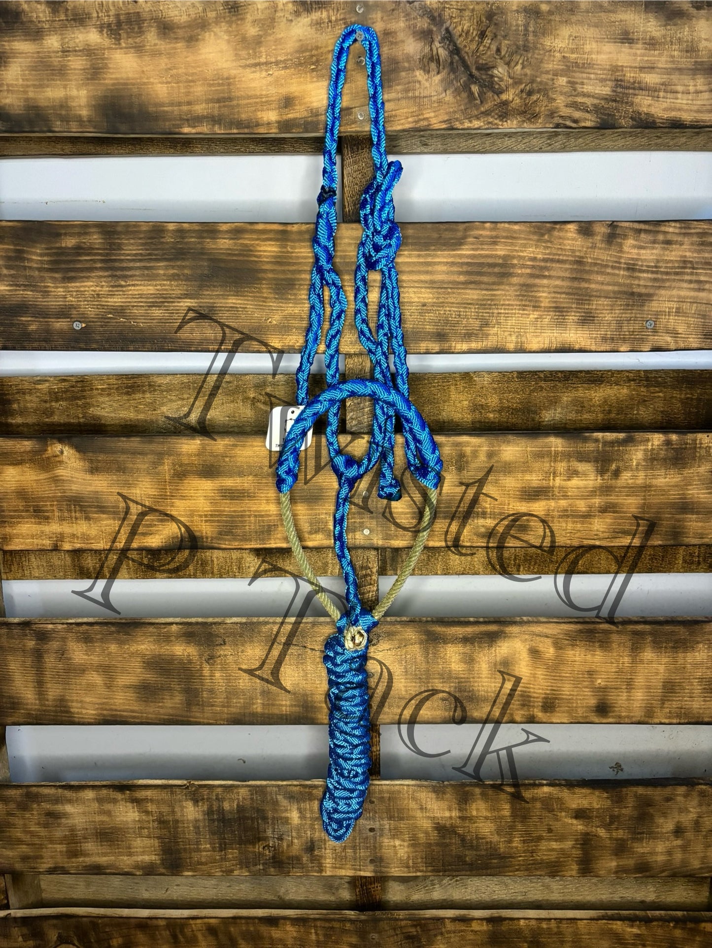 Royal Blue Lariat Noseband Halter