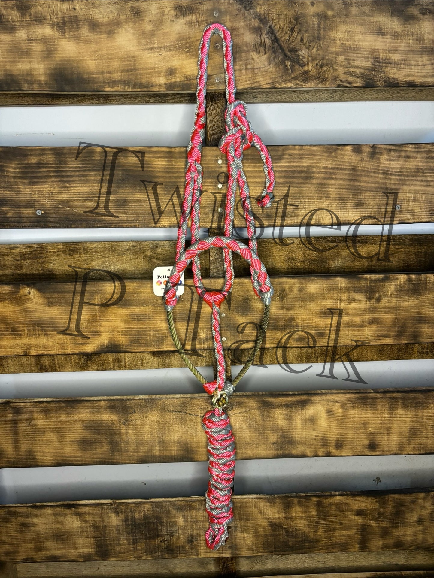 Pink & Grey Lariat NoseBand Halter