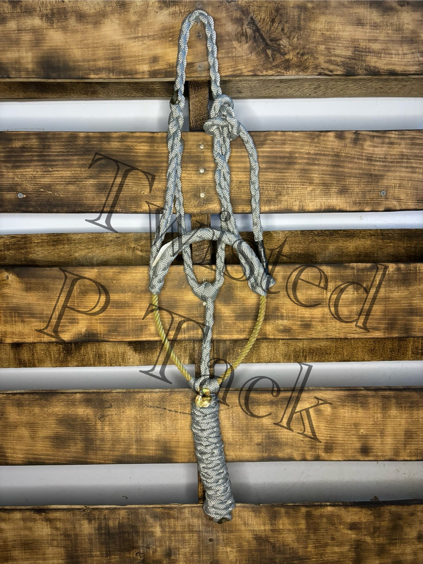 Grey Lariat Noseband Halter