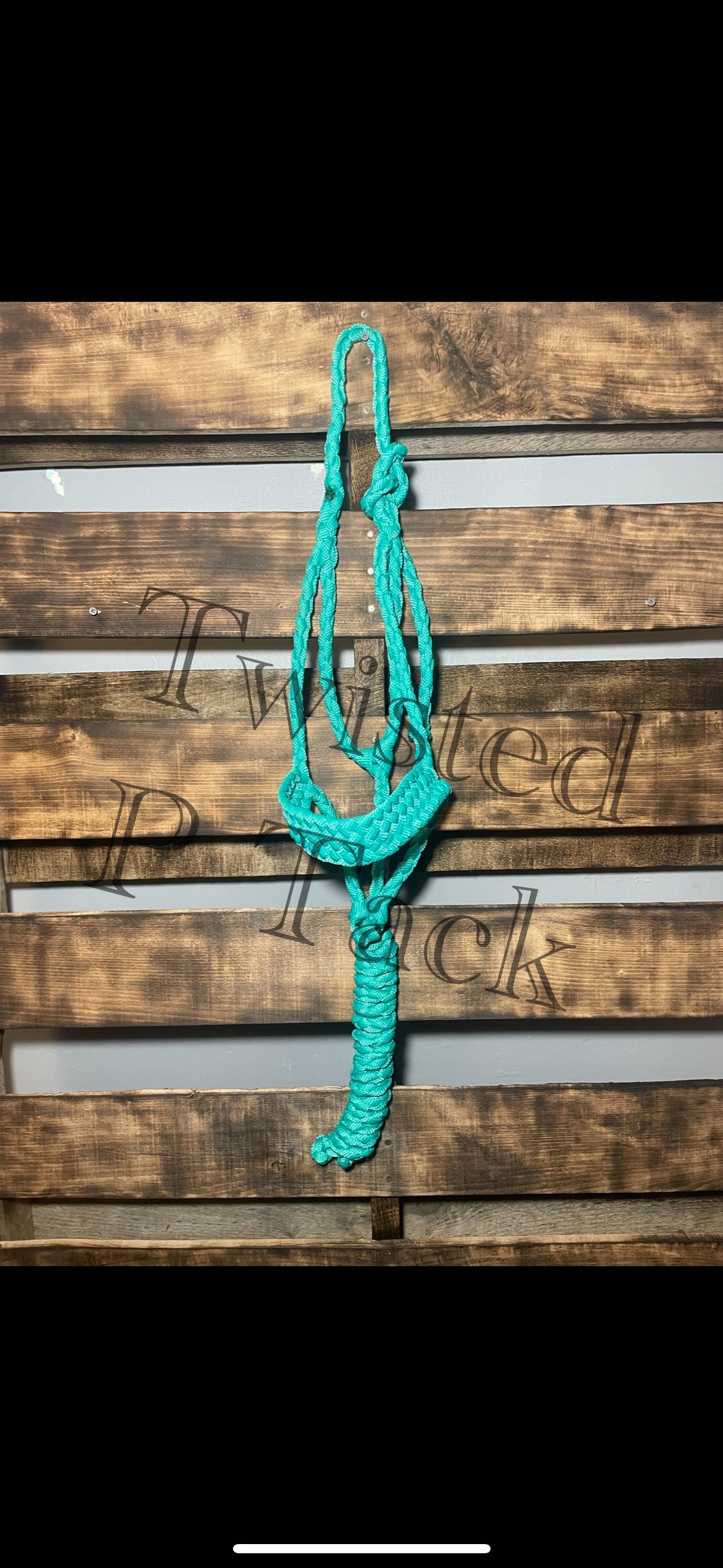 Custom 8 strand Halter