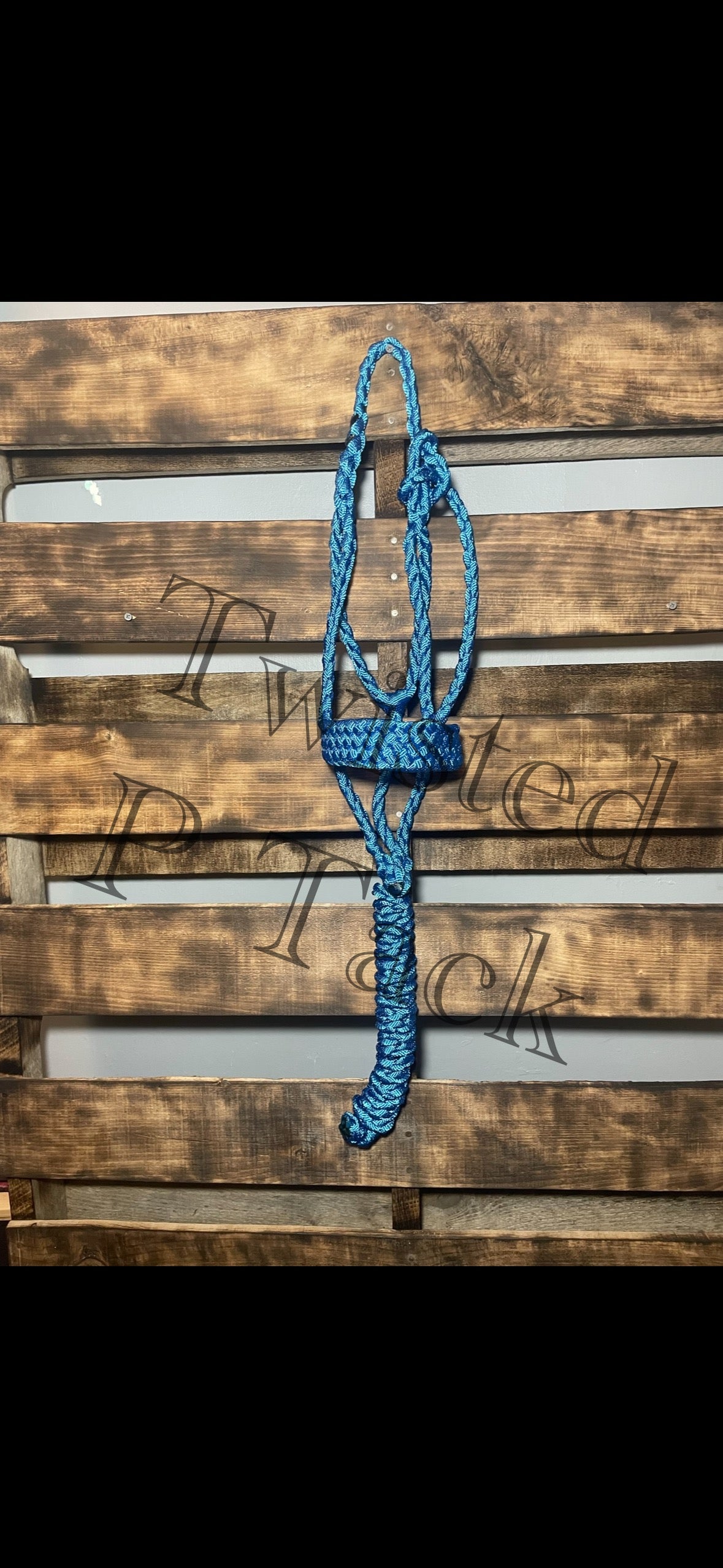 Royal Blue 8 Strand Horse Halter