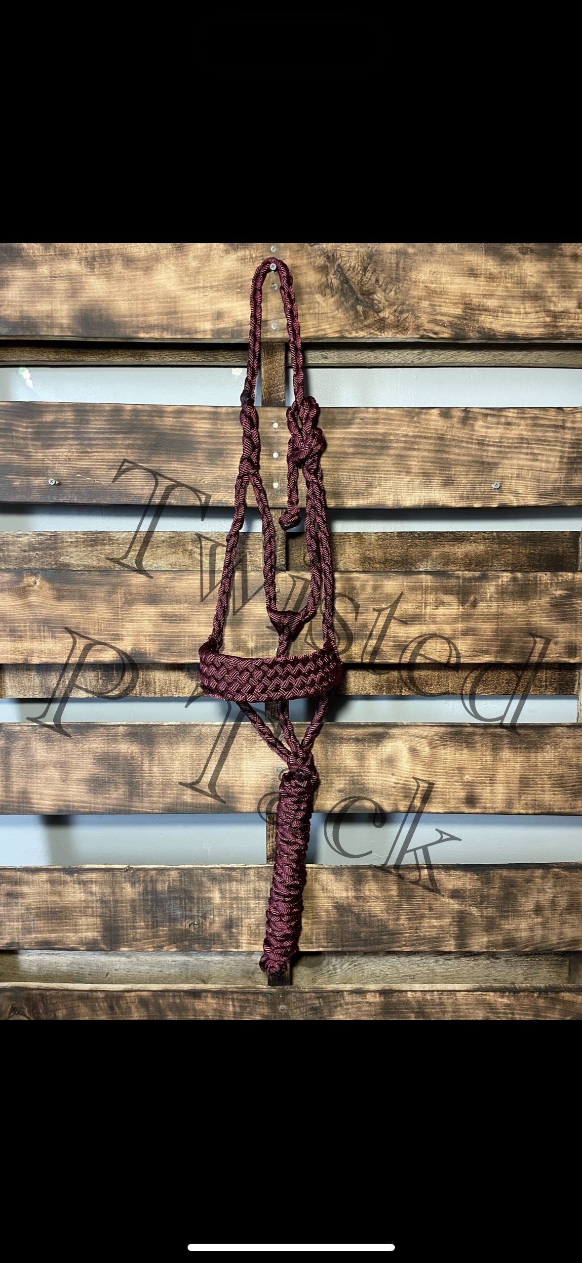 Burgundy 8 Strand Horse Halter