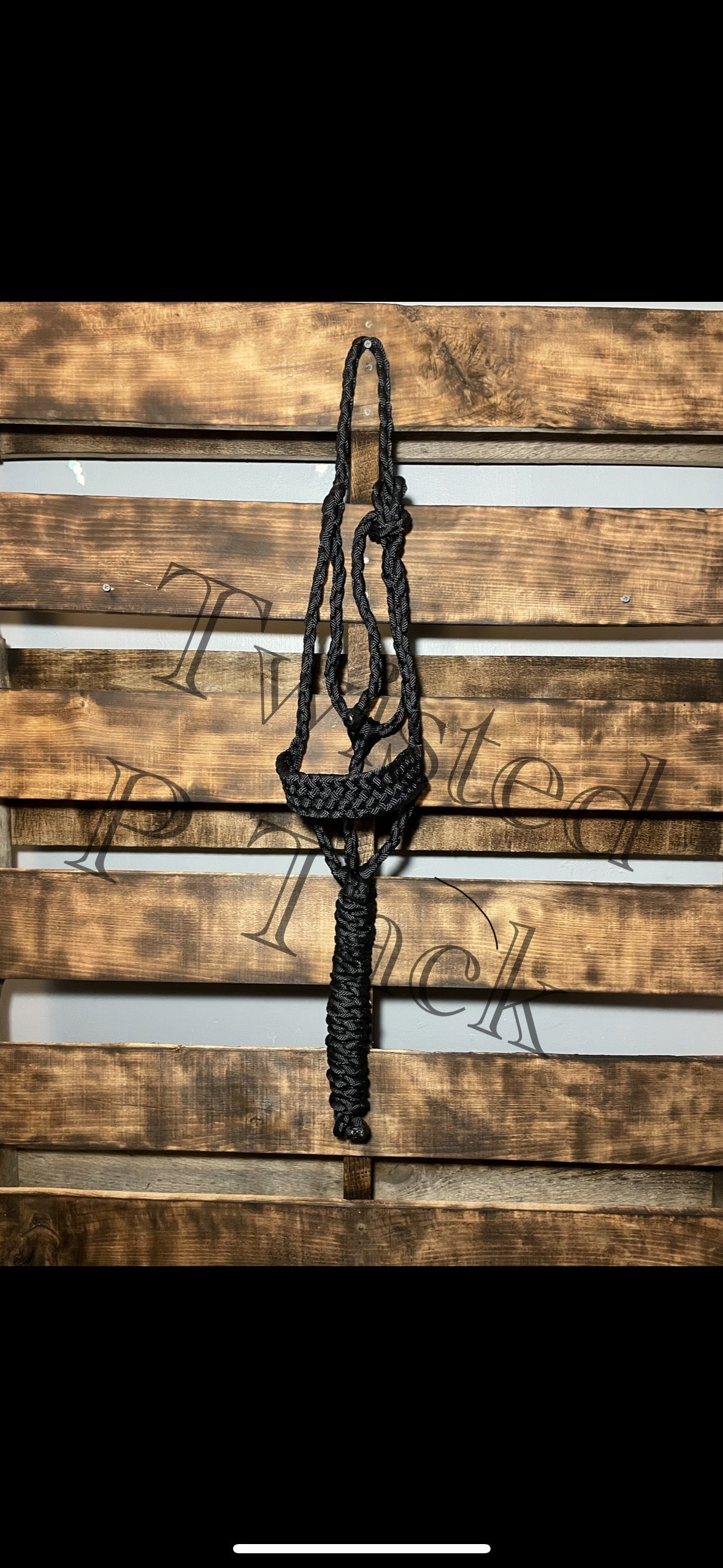 Custom 8 strand Halter