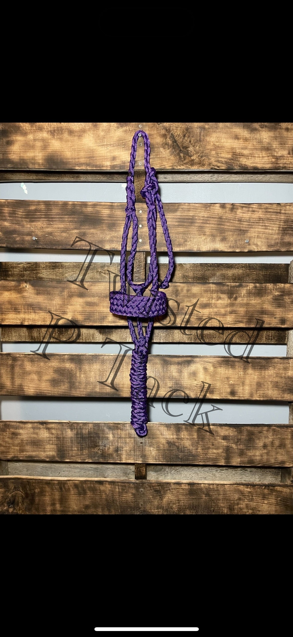 Custom 8 strand Halter