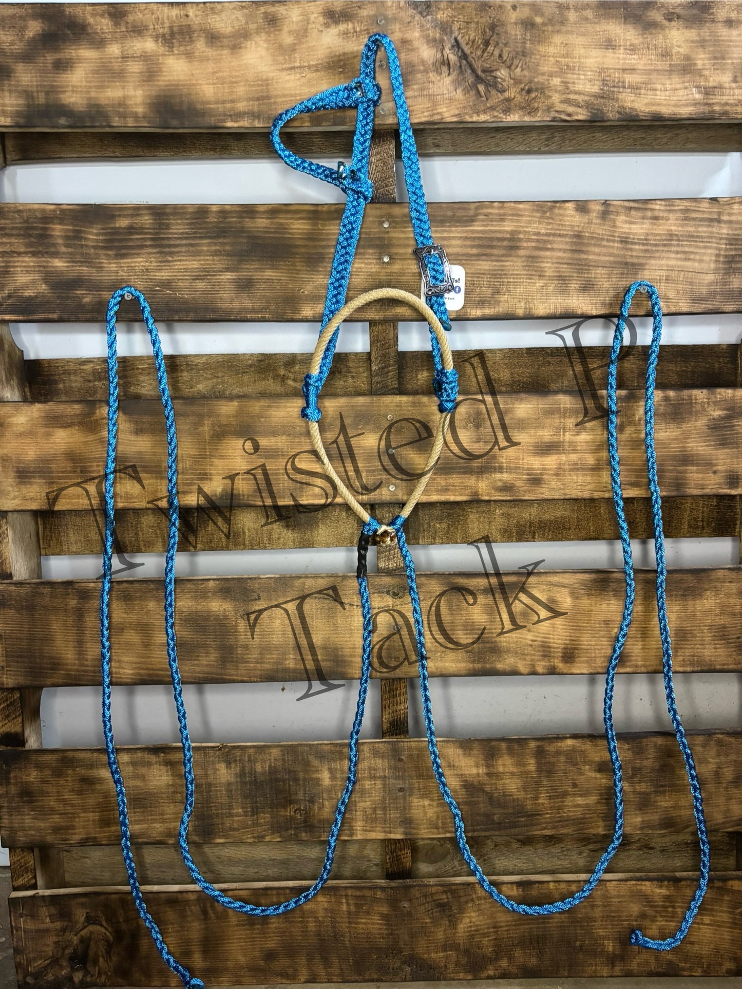 Royal Blue Loping Hackamore