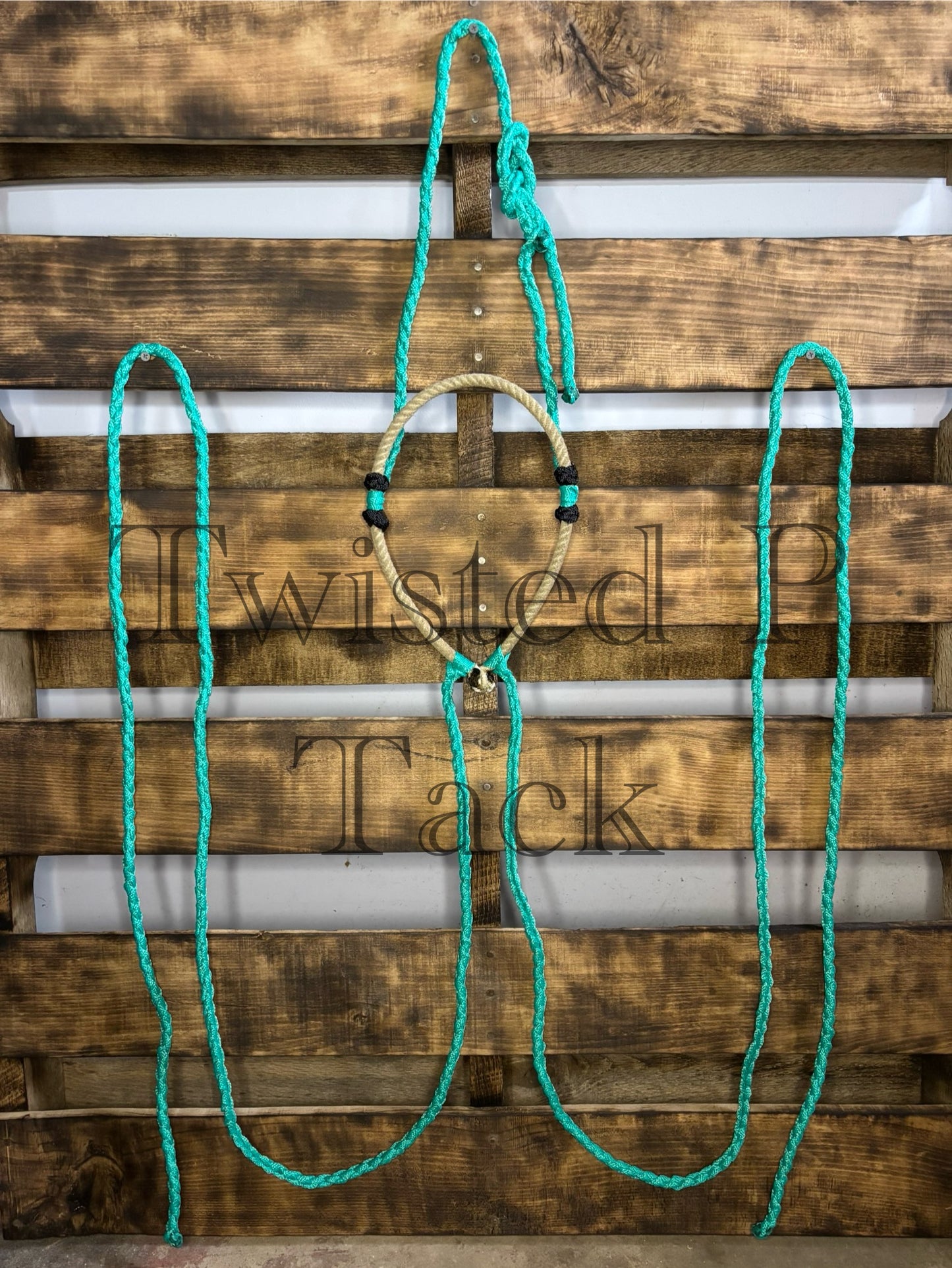 Turquoise Loping Hackamore