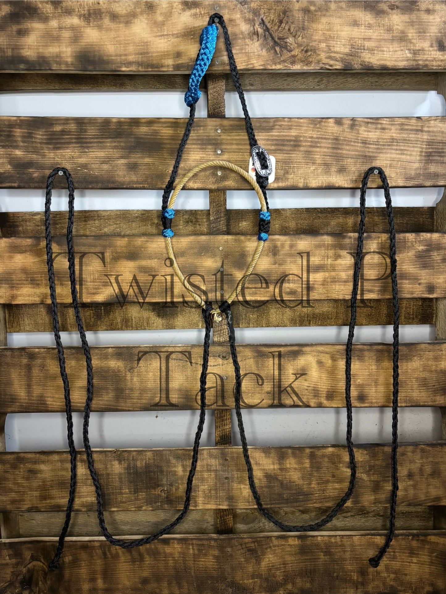 Black & Royal Blue Loping Hackamore