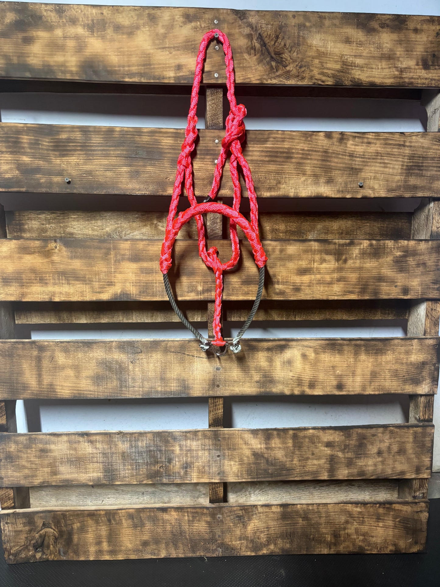 Pink Lariat Noseband Halter W/O Lead Rope