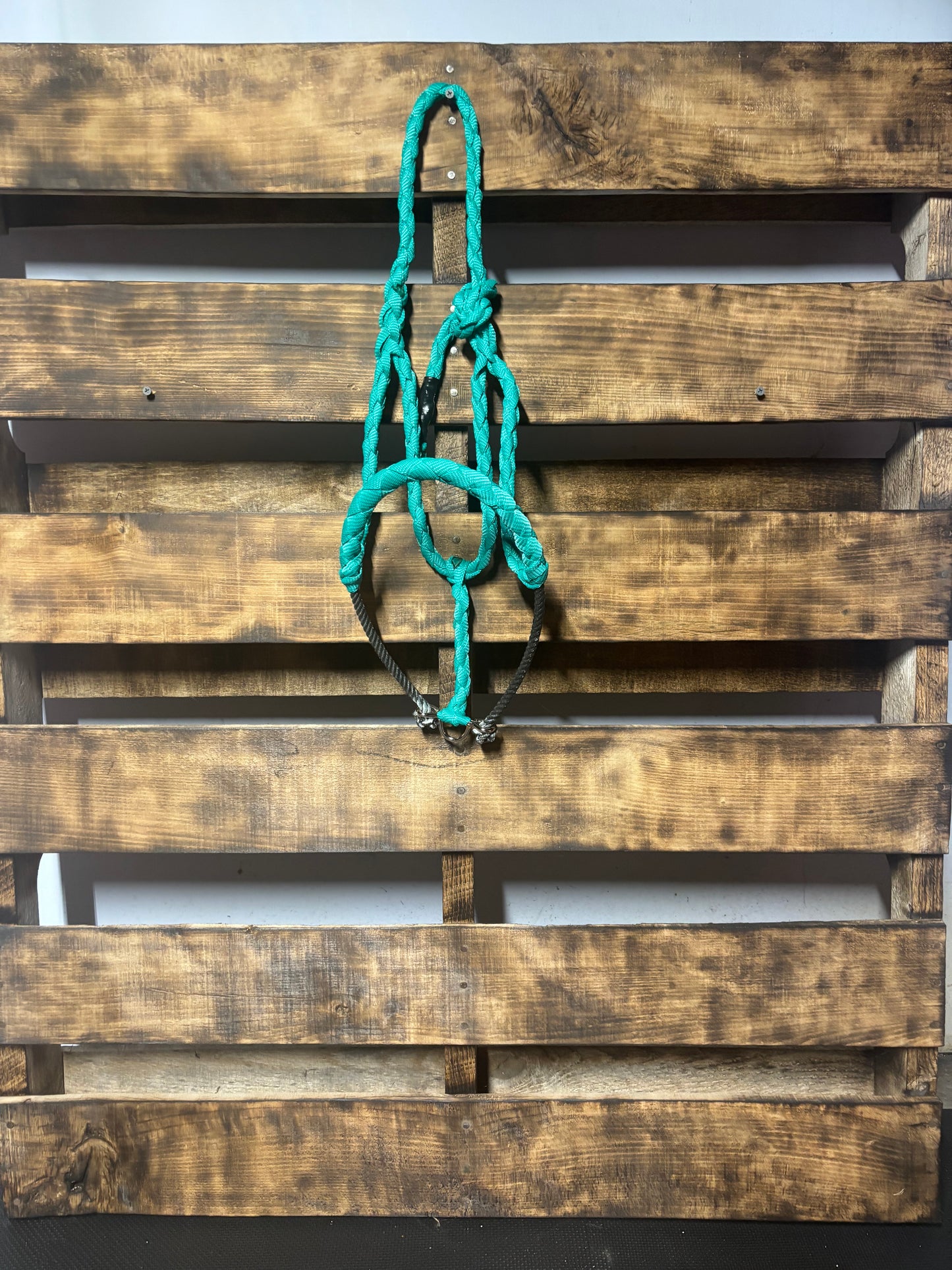 Teal Lariat Noseband Halter W/O Lead Rope