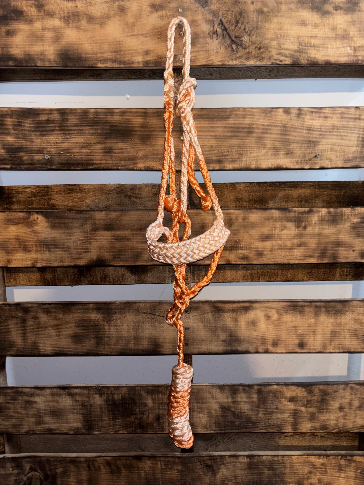 Ombré Orange Mule Tape Halter