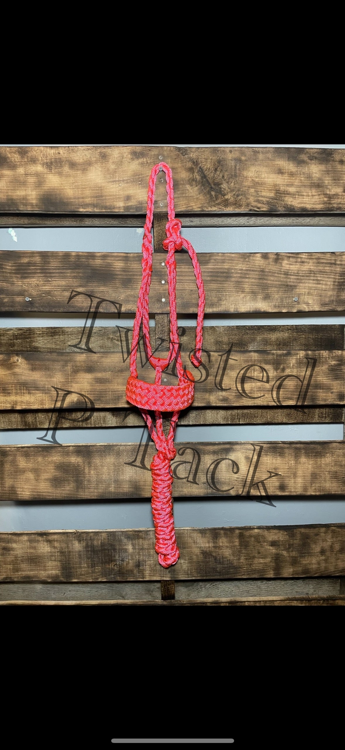 Custom 8 strand Halter