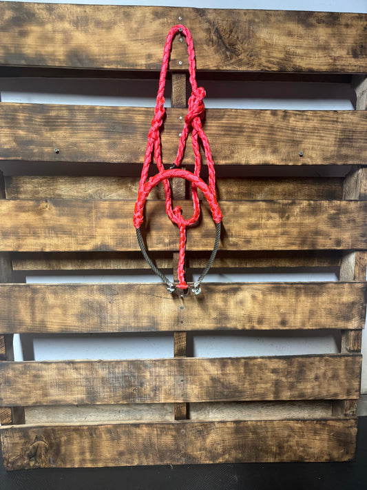 Pink Lariat Noseband Halter W/O Lead Rope