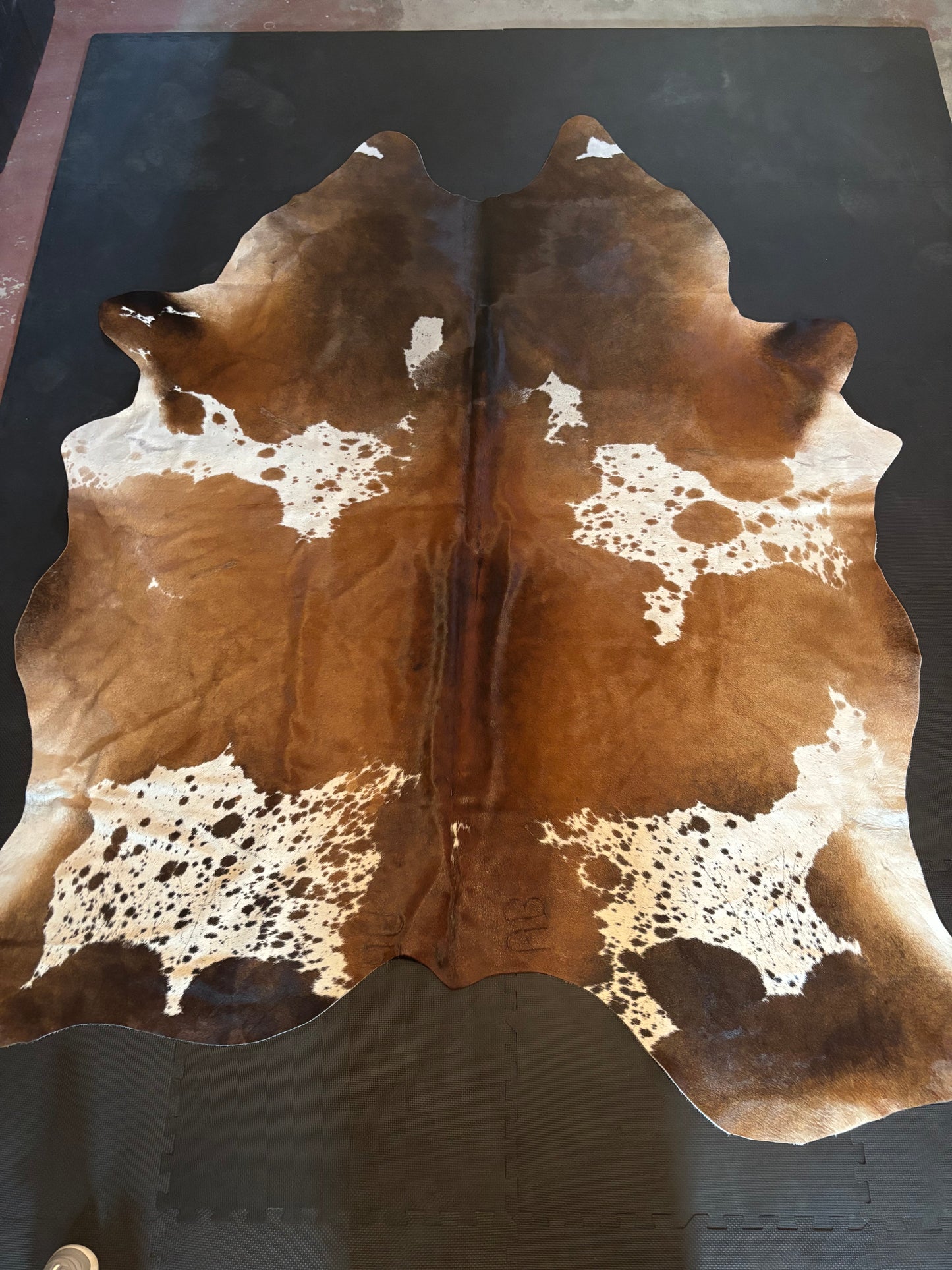 Speckled Cowhide