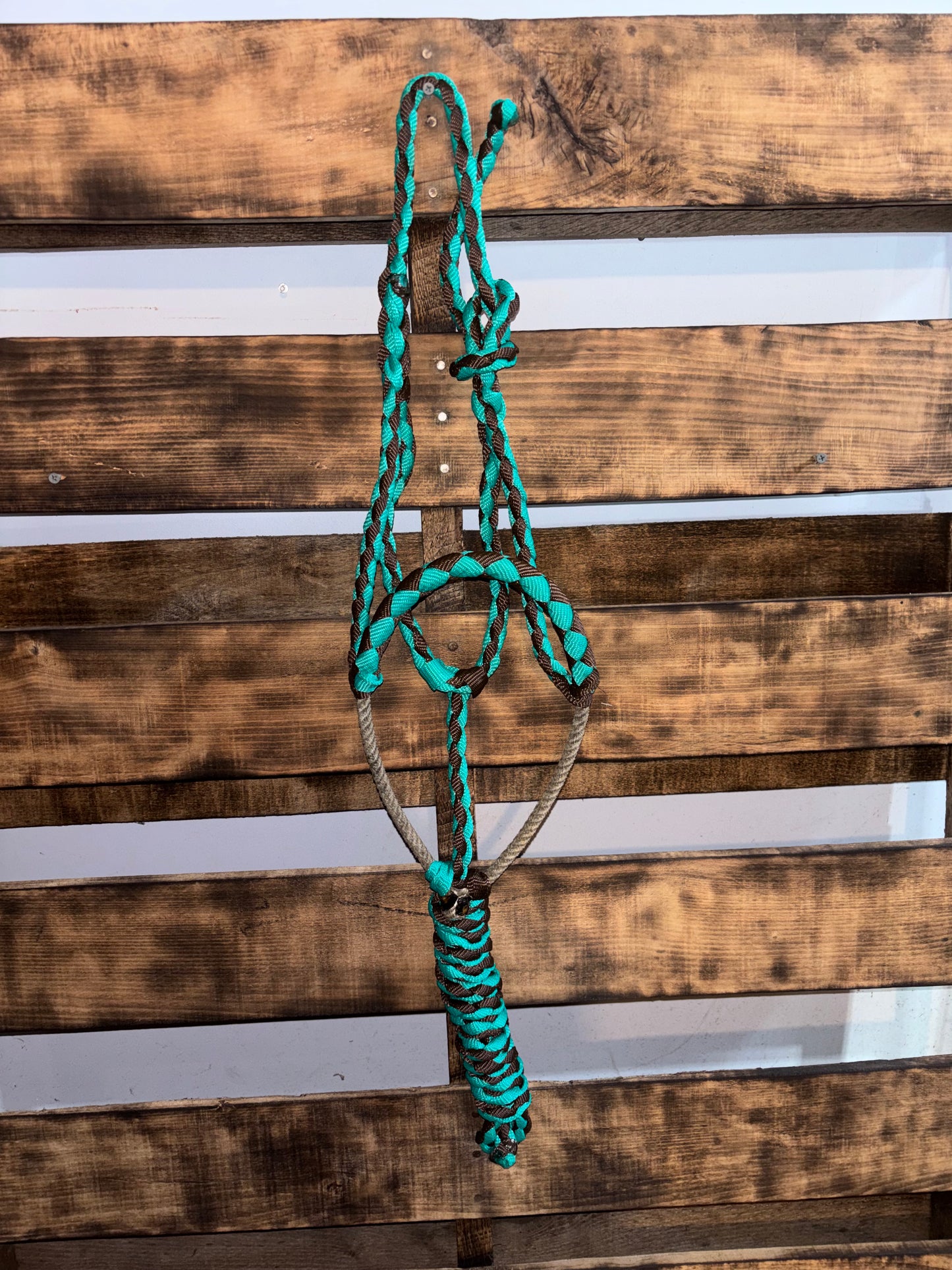 Teal & Brown Lariat Noseband Halter