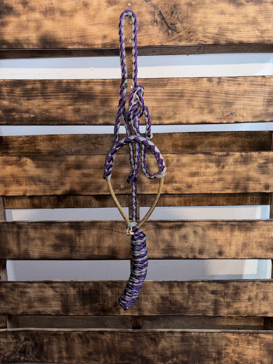 Purple & Grey Lariat Noseband Halter