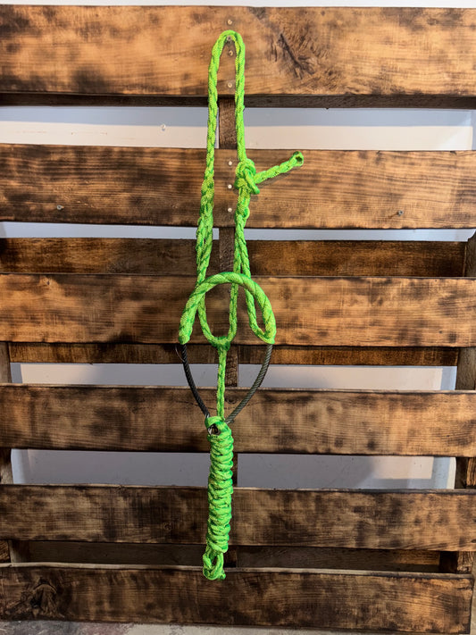 Neon Green Lariat Noseband Halter