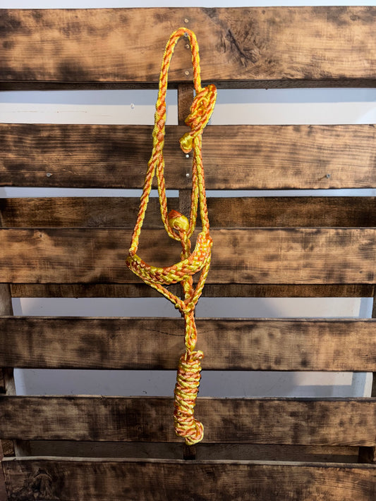 Orange & Yellow Mule Tape Halter