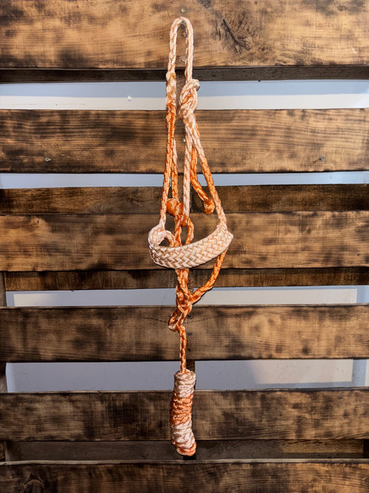 Ombré Orange Mule Tape Halter